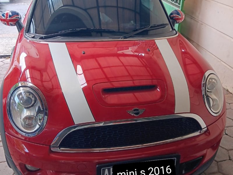 Mini S 2016