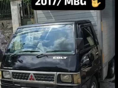 L300